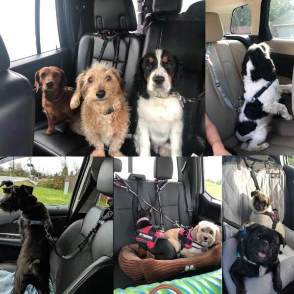 sjusterbar  Hundbälte för bil blå - Bild 2